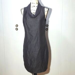 The Limited-  Gray Sheen Sheath Dress Textured lined sleeveless Neutral Sz.6